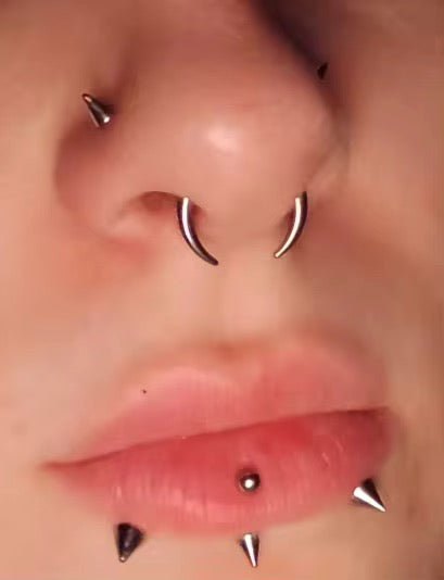 Steel Bull Taper Septum Pincher | Crescent Tapers | 16g-00g