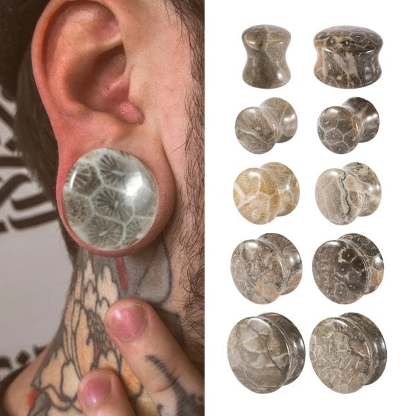 Earplugs of store Coral Fossil