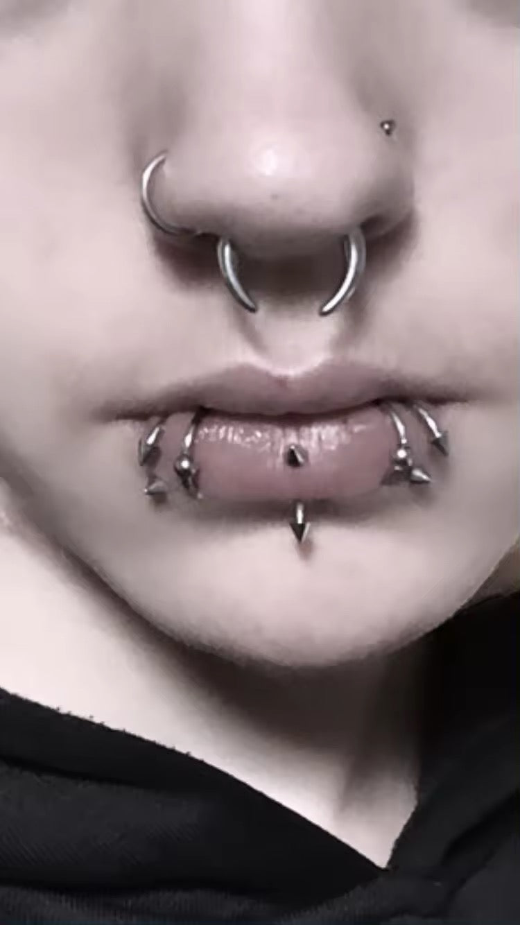 Steel Bull Taper Septum Pincher | Crescent Tapers | 16g-00g