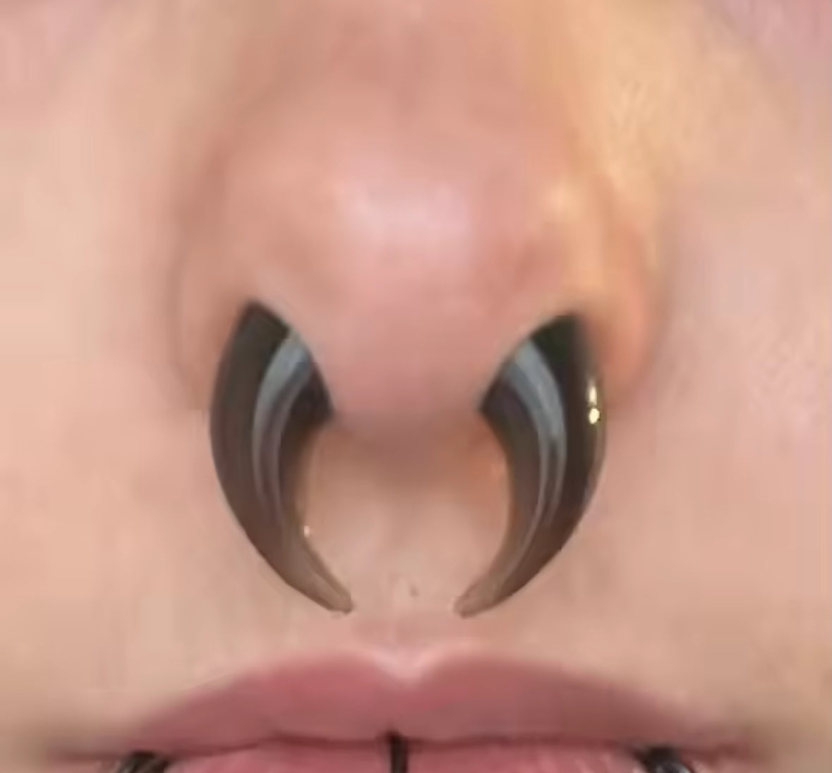 Glass Septum Crescent Pincher | Bull Taper | 6mm -10mm