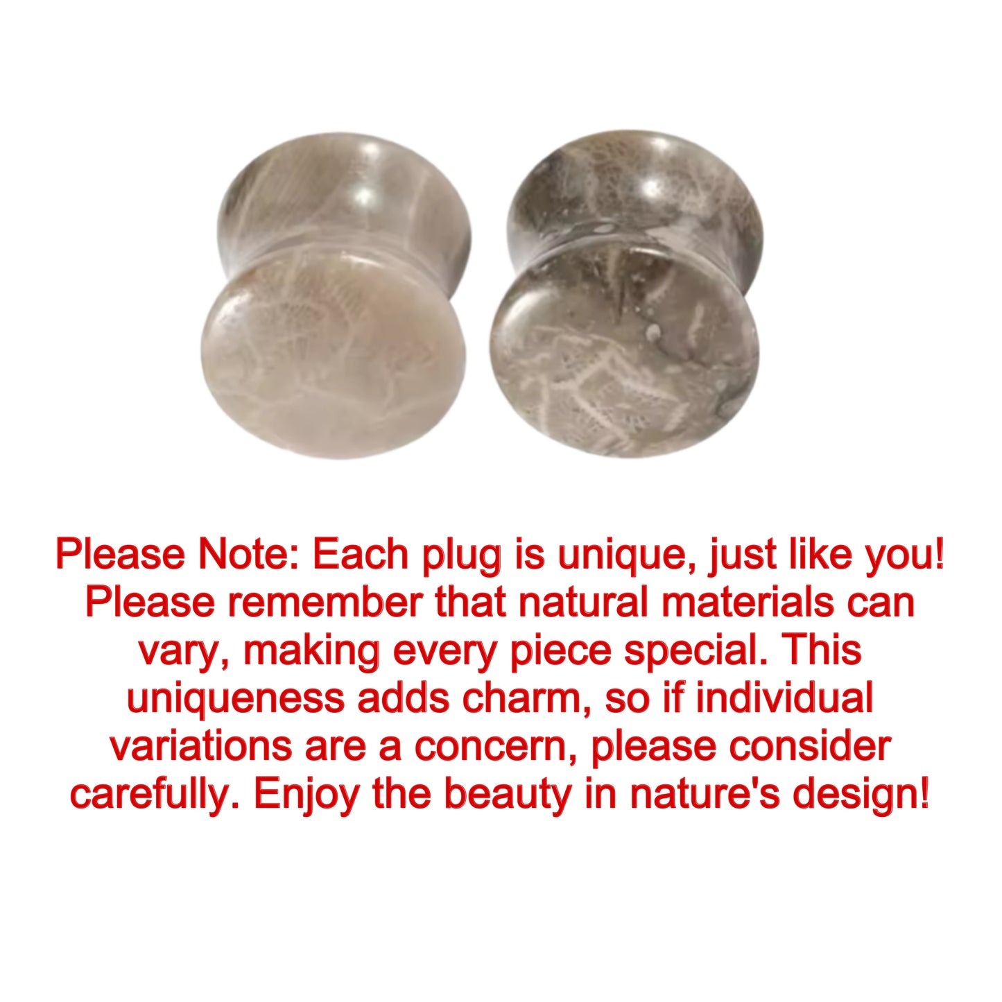 Fossilized Coral Stone Ear Plugs | Double Flare