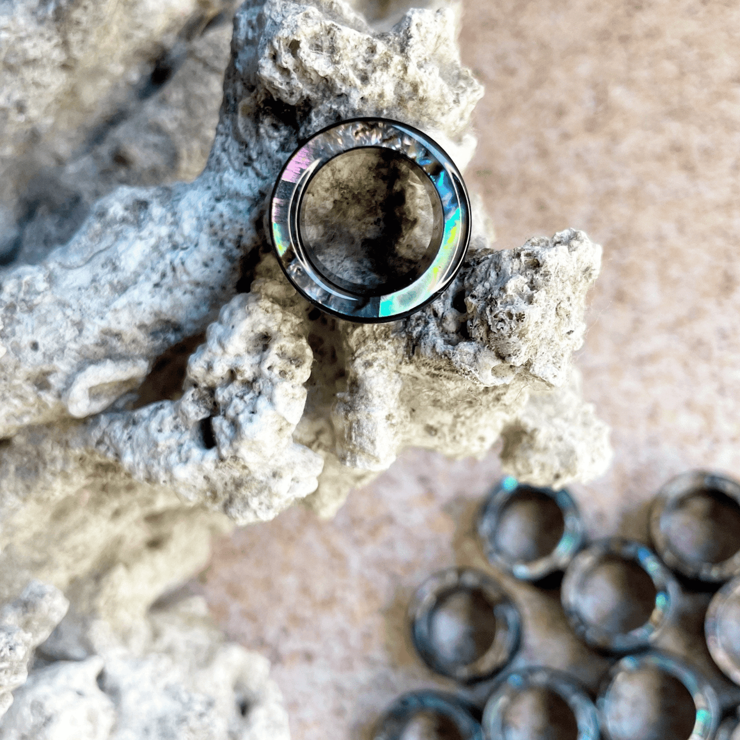Abalone Shell Inlay Ear Tunnels | Acrylic Screw Fit - DustyJewelz