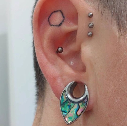 Abalone Shell Saddle Plugs | Reversible Shield Lobe Spreaders - DustyJewelz