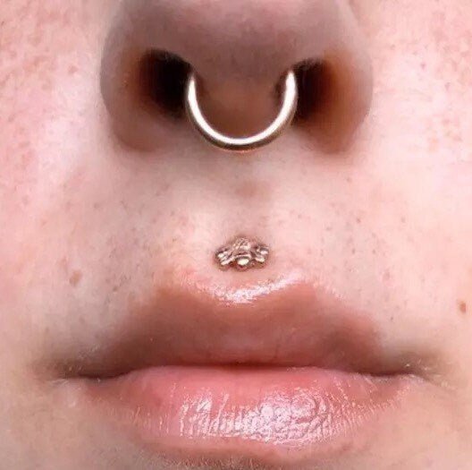 Bee Labret Stud | Medusa Piercing | 16g Surgical Steel - DustyJewelz