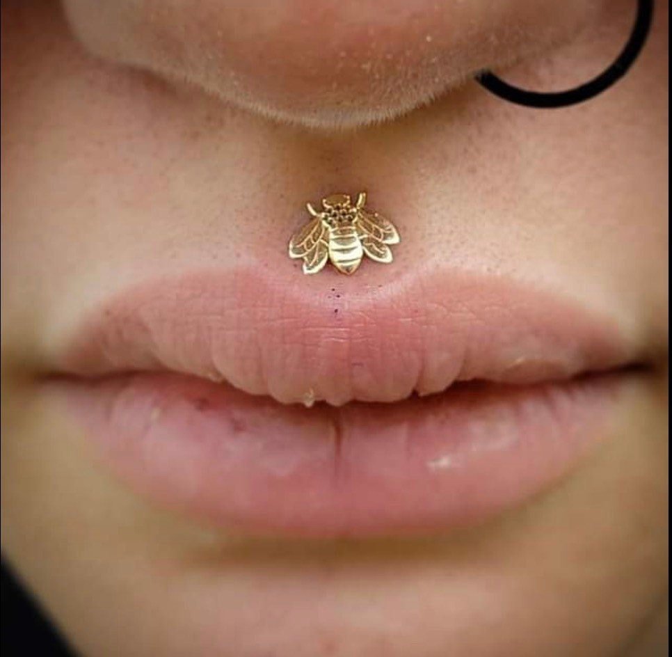 Bee Labret Stud | Medusa Piercing | 16g Surgical Steel - DustyJewelz
