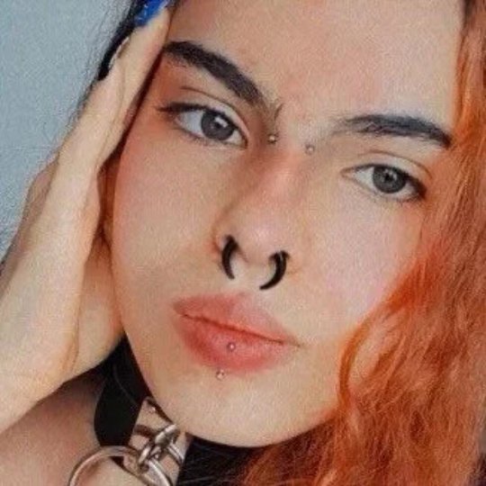 Black Buffalo Horn Septum Pincher | Acrylic Crescent Taper - DustyJewelz