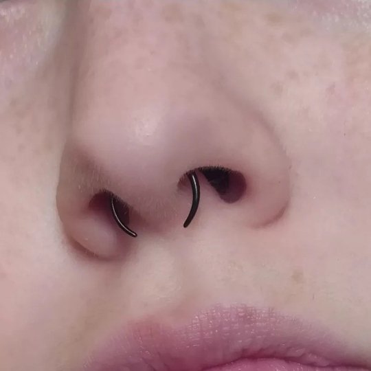 Black Buffalo Horn Septum Pincher | Acrylic Crescent Taper - DustyJewelz