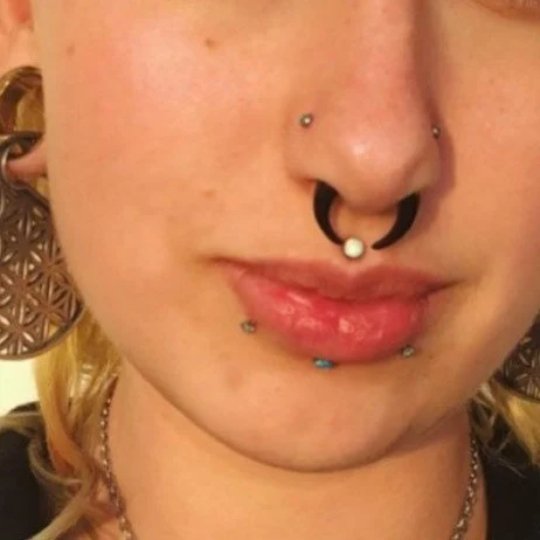 Black Buffalo Horn Septum Pincher | Acrylic Crescent Taper - DustyJewelz