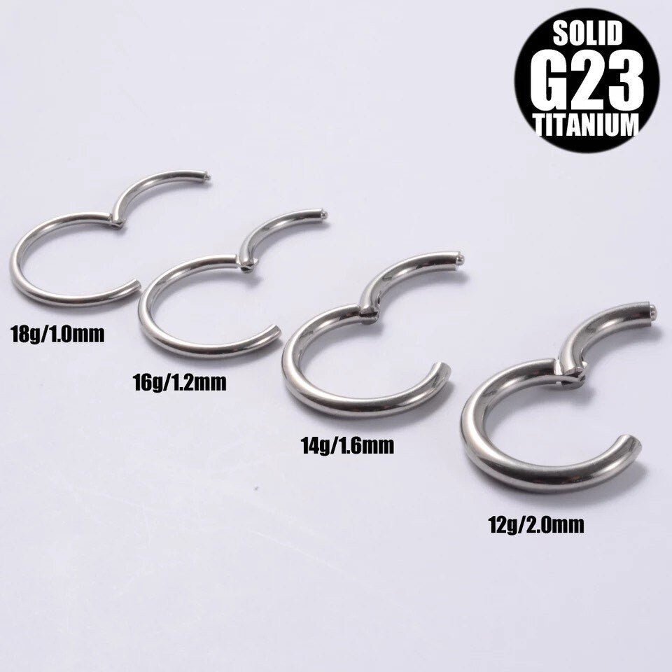 Classic Hinged Piercing Ring | Titanium |20G, 18G, 16G, 14G - DustyJewelz
