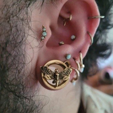Death Moth Plugs | Screw Back Tunnels - DustyJewelz