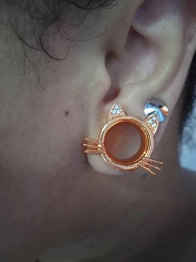 Kitty Cat Tunnels | Stainless Steel Cats Plugs - DustyJewelz