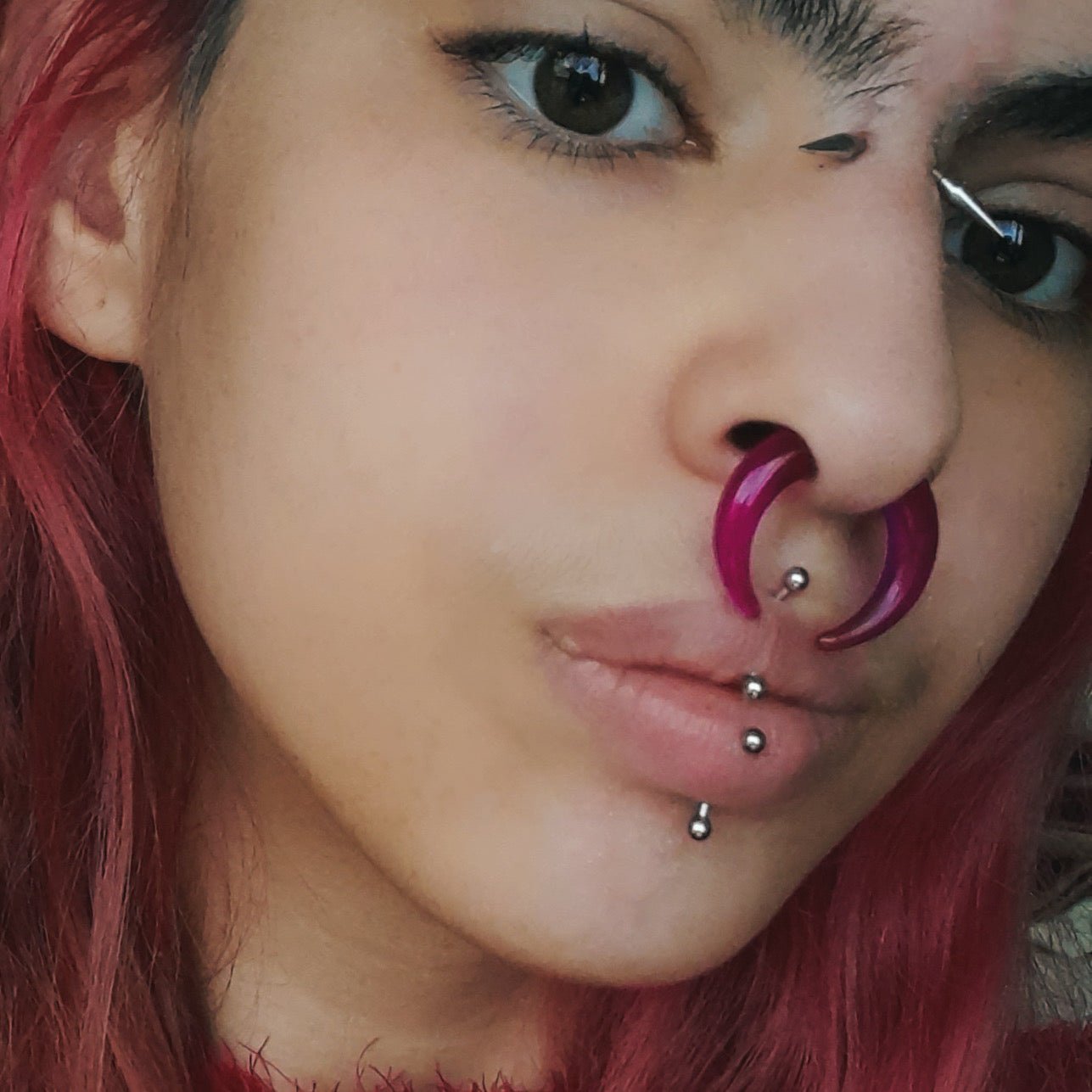 Purple Buffalo Horn Septum Pincher | Acrylic Crescent Tapers - DustyJewelz
