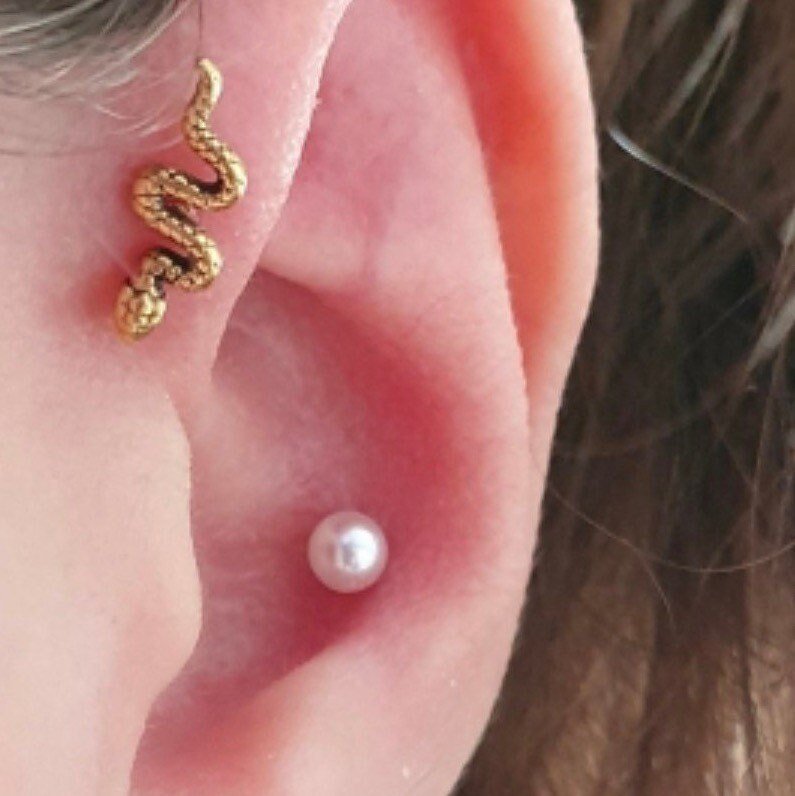 Snake Labret Stud | Internally Threaded - DustyJewelz
