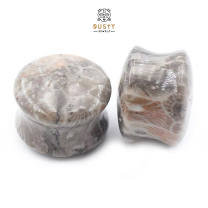 Fossilized Coral Stone Ear Plugs | Double Flare