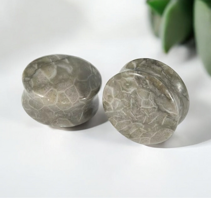 Fossilized Coral Stone Ear Plugs | Double Flare