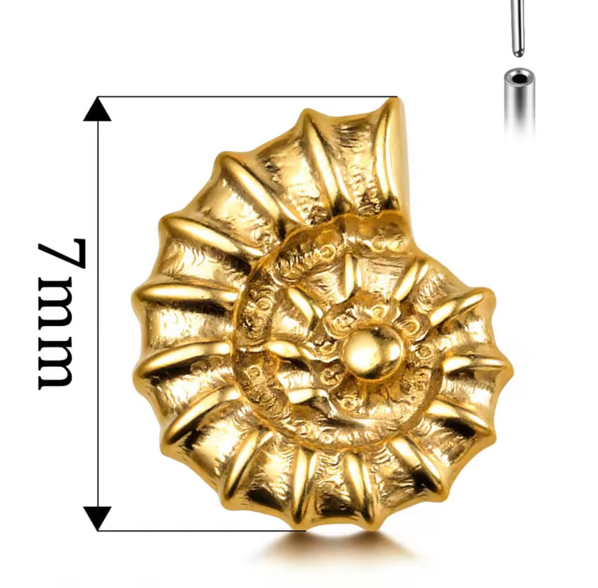 Nautilus Shell Titanium Threadless Flat Back Stud | Gold or Silver