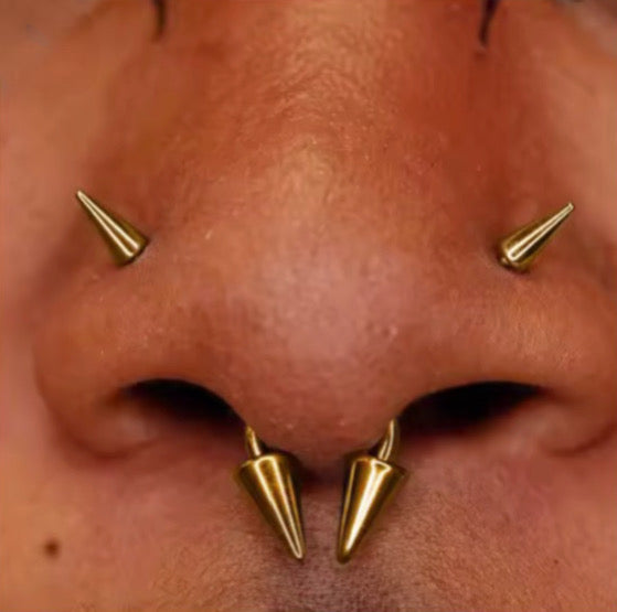 Spike Nose Screw | S-Rod