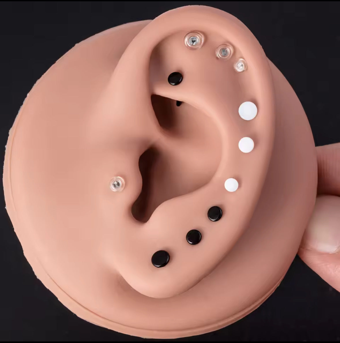 Glass Straight Bar Retainer | 18g-14g