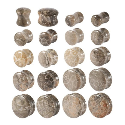 Fossilized Coral Stone Ear Plugs | Double Flare