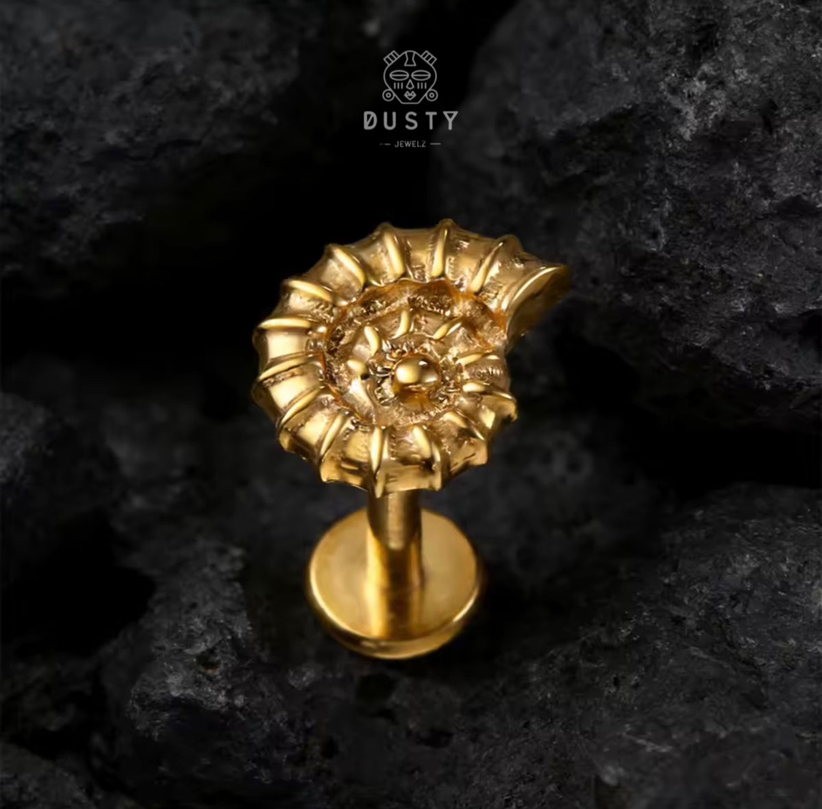 Nautilus Shell Titanium Threadless Flat Back Stud | Gold or Silver