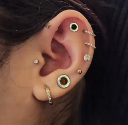 Iridescent Shell Stainless Steel Screw-Fit Plugs & Tunnels