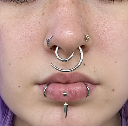 Spiral Taper Stretchers | Stainless Steel 14g-00g
