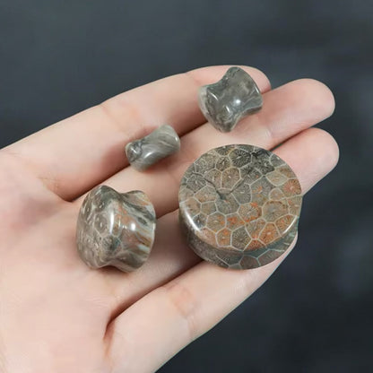 Fossilized Coral Stone Ear Plugs | Double Flare