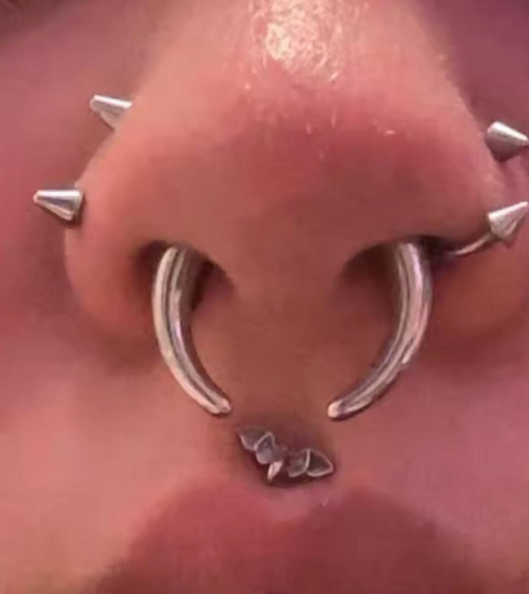 Faux Stretched Septum Pincher – 16G Illusion Look