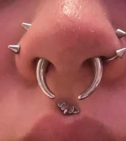 Faux Stretched Septum Pincher – 16G Illusion Look
