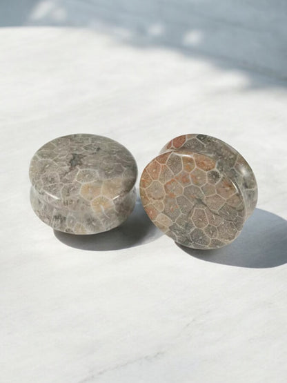 Fossilized Coral Stone Ear Plugs | Double Flare