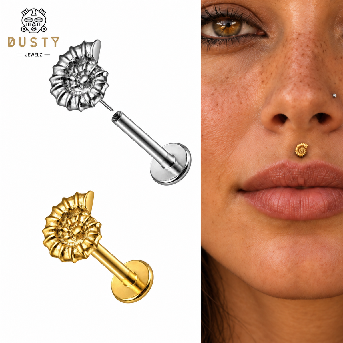 Nautilus Shell Titanium Threadless Flat Back Stud | Gold or Silver