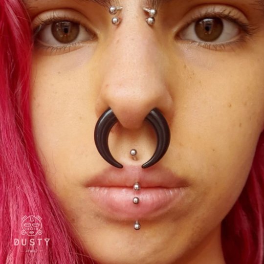 Baby Blue Buffalo Horn Septum Pincher | Acrylic Crescent Tapers - DustyJewelz