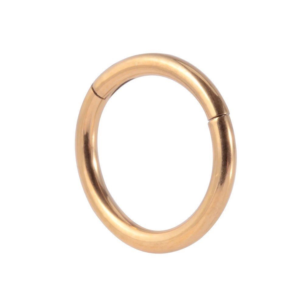 Classic Hinged Piercing Ring | Titanium |20G, 18G, 16G, 14G - DustyJewelz
